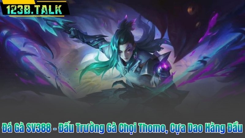 Đá Gà SV388 – Đấu Trường Gà Chọi Thomo, Cựa Dao Hàng Đầu