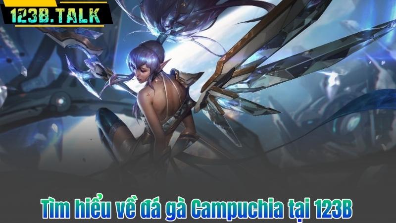 Đá Gà Campuchia - Trải Nghiệm Đỉnh Cao Đầy Kịch Tính 6 Tìm hiểu về đá gà Campuchia tại 123B