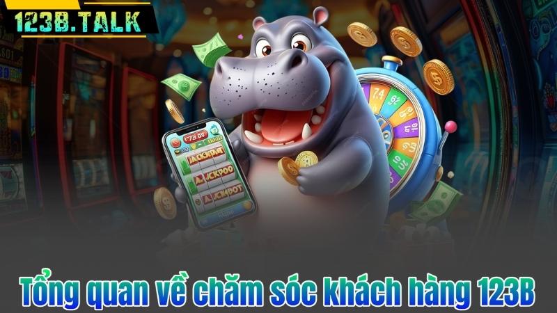 Tổng quan về chăm sóc khách hàng 123B